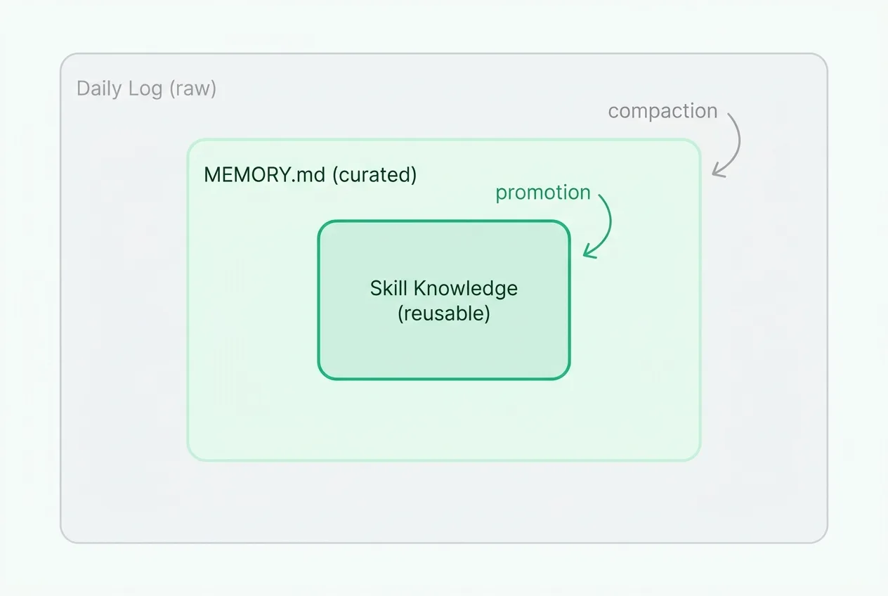 Memory architecture: raw daily logs compact into curated MEMORY.md, which promotes reusable skill knowledge